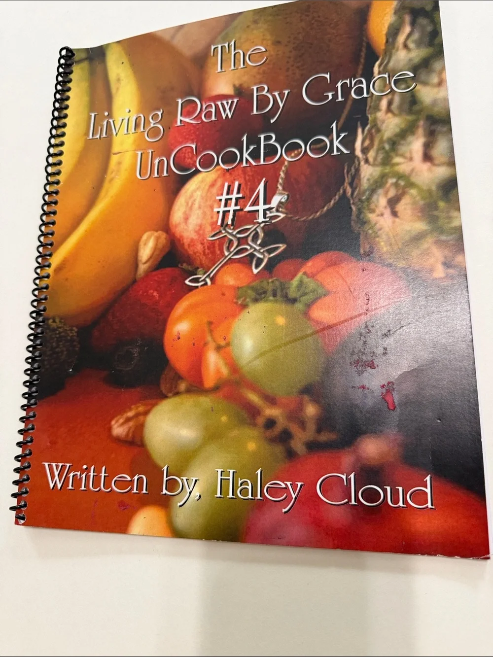 Haley Cloud Living Raw By Grace UnCookBook #4 - Red/Orange Cover